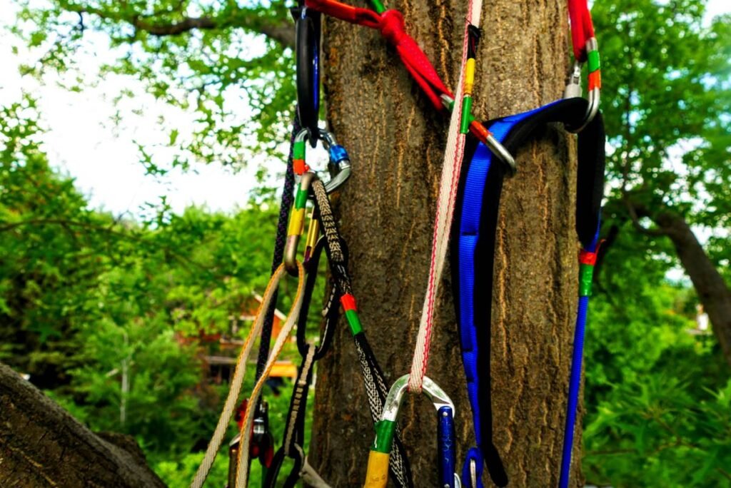 Why Your Next Climb Could Fail—If You Don’t Understand Natural Feature Anchors