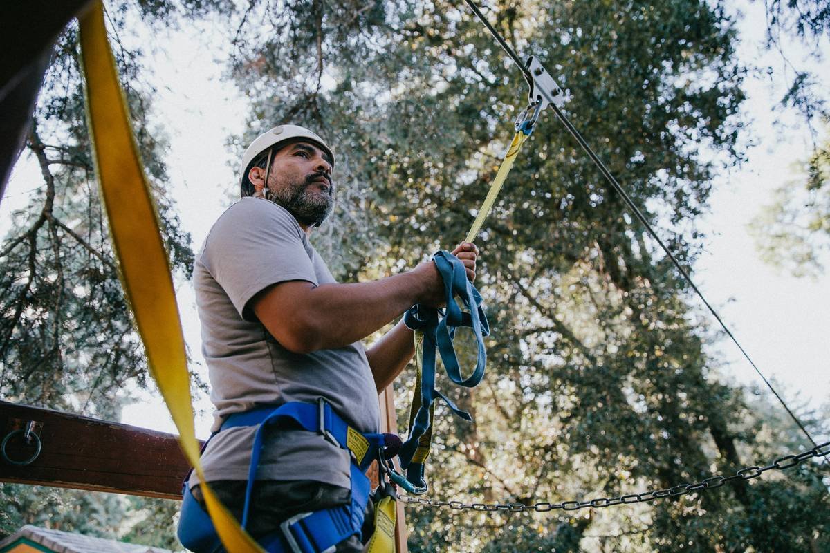 Tree Climbing for Beginners: Your No-Nonsense Guide to Safe, Joyful Ascents
