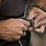 How to Anchor a Wall: 7 Proven Steps to Avoid Costly Mistakes